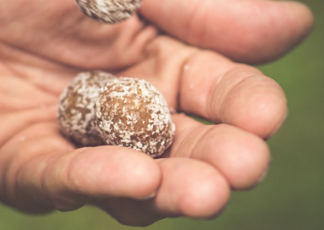 VEGAN LEBKUCHEN-ENERGYBALLS