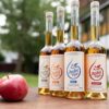Apfeltau | Apfelwein-Aperitif mit 21% vol. ALL TAU PRO 4er Set (je 500ml Fusion, Mild, Lieblich und Sauer)