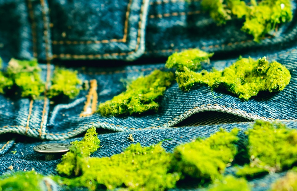 GreenClaims vs EmpCo – Was DU jetzt wissen mußt