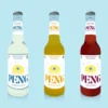 PENG  | Soda statt Limo. PENG Soda Mix 12er