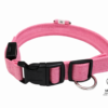 Verenas Fellnasen | LED-Hundehalsband – Sicherheit bei Nacht